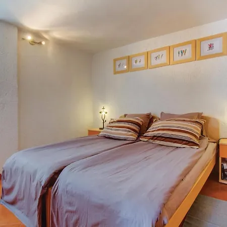 Cozy In With Kitchen Apartament